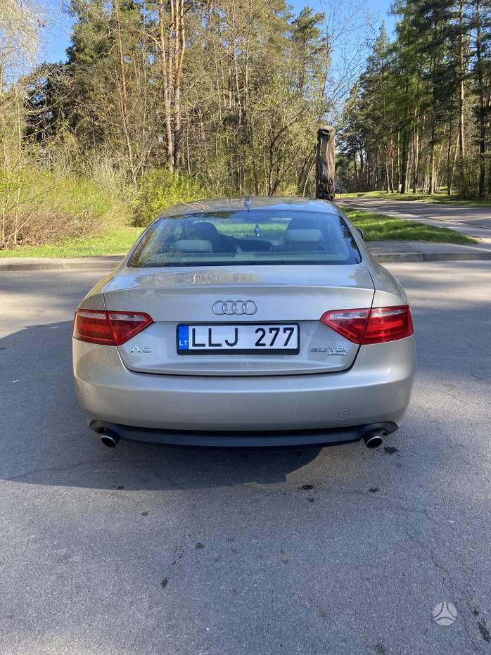 Nuotrauka 4 iš 4