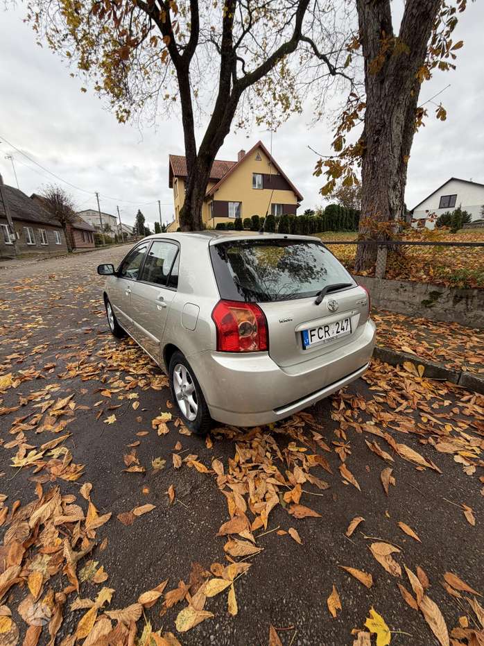 Nuotrauka 4 iš 4