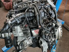 BMW 520 for parts. Variklis pilnas galime parduoti ir plika viber whatsa