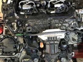 Ford C-MAX, UfBA