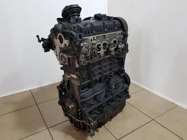 Volkswagen Golf Variklio kodas bxe