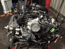 Opel Movano, M9T676/M9T706/M9T702, Variklis dalimis ir dalys aplink varikli