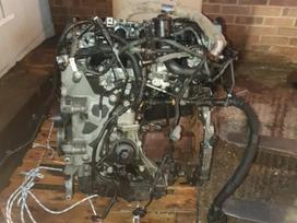 Land Rover Freelander, 224dt, Variklis ir