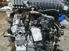 Mini Cooper, B38A15, B38a15 variklis su garantija 2 mėn ir kokybiškos variklių dalys