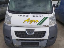 Peugeot Boxer, cargo vans