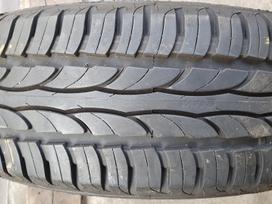 Sava Intensa HP, летние 185/60 R15