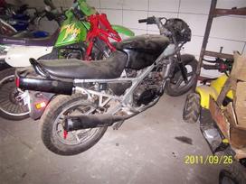Kawasaki GPZ, street / classic
