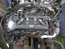 Nissan Primera
