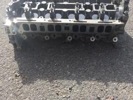 Ford Focus ST, R9DA, Didmeninė prekyba su pristatymu į kitus miestus whatsapp 3706