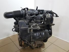 Volkswagen Golf Plus Variklio kodas bmy