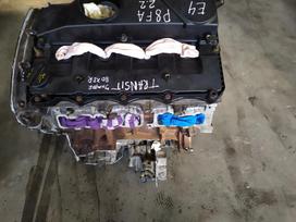 Ford Transit, cargo vans