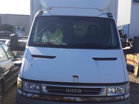 Iveco 50C13, buses