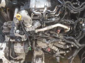 Volkswagen Transporter, CXG cxh, Vw transporter t6 pilnas variklis variklio kodas cxg rida 45
