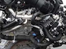 Land Rover Evoque, 204DTD, Tik variklis ir dalys aplink varikli turim ir ardoma varikli