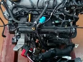 Renault Captur, H5FG412