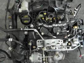 Fiat 500, 312A2000