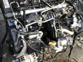 Volkswagen Passat, CAY