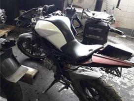 Yamaha YZF, sporta / superbikes