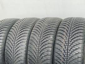 Goodyear Vector 4 Seasons, žieminės 205/55 R16