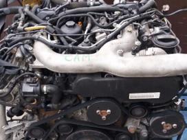 Audi A4, CAM, variklio detalės