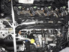 Ford C-MAX, T7DB