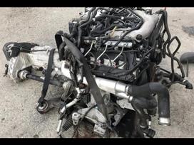 Audi Q7, BUG