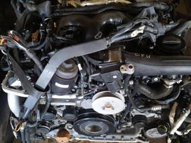 Audi A6, Cgq DDV ZFS 059907309l, 0445010643 4go260805b 059131515cj 059131503c 059130087bt 0591300