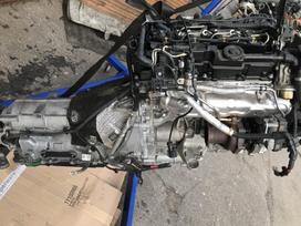 BMW 320 Variklis ir autamatine deze b47d20a