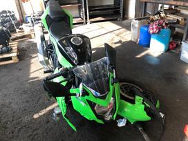Kawasaki ZX/ZX-R (Ninja), superbikes