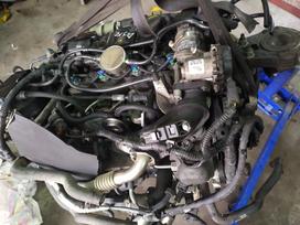 Ford Transit, грузовые микроавтобусы