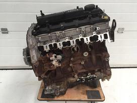 Ford Ranger, SA2W, Variklis dalimis