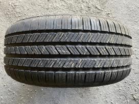 Goodyear Eagle LS2, vissezonas 255/45 R19