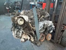 Volkswagen Polo, DKJA DKJ, variklio detalės
