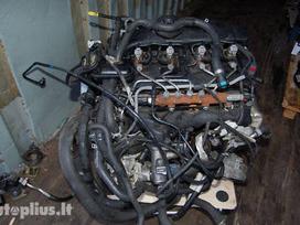 Ford Transit dalimis. Transit 2007 2010m 2 4 tdci pilnas variklis kuro sist