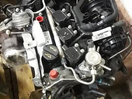Ford EcoSport, M1JJ, Variklis beges 60000km variklio kodas m1jj