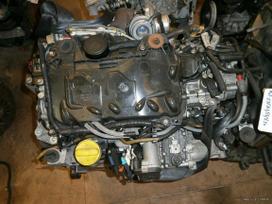 Opel Vivaro, M9R780, Tik variklis ir dalys aplink variklį