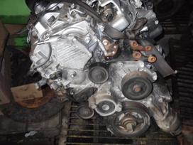 Toyota Corolla Verso dzinēja detaļas