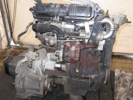 Renault Clio Dalimis