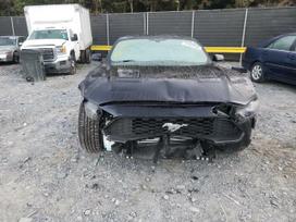 Ford Mustang Dalys 2015 2019 ford mustang coupe cabrio 2 3 ecoboost 3 7 v