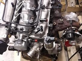 Hyundai i20, D4FC, Variklis beges 70000km