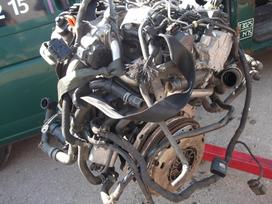 Volkswagen Passat variklio detalės