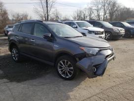 Toyota RAV4 Turime ir daug kitų automobilių dalimis toyota rav4 hibridas