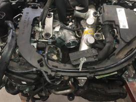 Mercedes-Benz ML klasė, 642826, A642826 725021