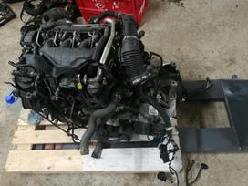Citroen C5, 20GK05, по частям. Variklio kodas rhr kuro sistema delphi dezes kod
