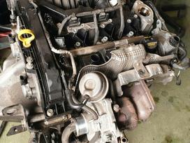 Ford Fiesta variklio detalės