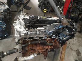 Ford Focus, T8DA 10CODY