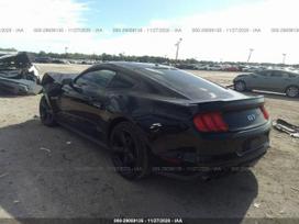 Ford Mustang Dalys 2015 2019 ford mustang coupe cabrio 2 3 ecoboost 3 7 v