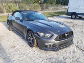 Ford Mustang Dalys 2015 2019 ford mustang coupe cabrio 2 3 ecoboost 3 7 v