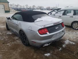 Ford Mustang Dalys 2015 2019 ford mustang coupe cabrio 2 3 ecoboost 3 7 v