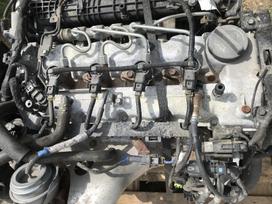 Kia Ceed Kia ceed pilnas variklis 1 6 crdi kodas d4fb yra kuro siatema